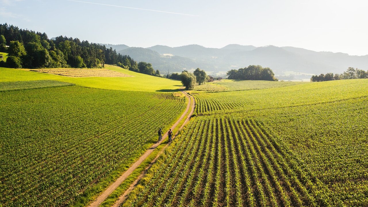Mountainbikestrecke Virunum-Tour (c)Lukas Dürnegger