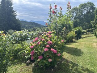 Familie Leitner-Meßner