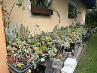 Platz 1 in der Kategorie: Gemeinschaftsprojekte & Sonderprojekte sowie Platz 2 in der Bezirkswertung Familie Müller